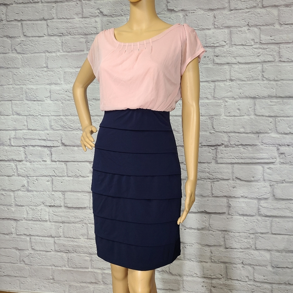 Enfocus Studios Pink and Navy profetional dress